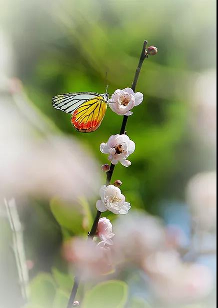 微信圖片_20180314150212.jpg 微信圖片_20180314150212.jpg