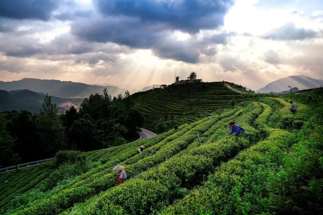 微信圖片_20210624163645.jpg 微信圖片_20210624163645.jpg