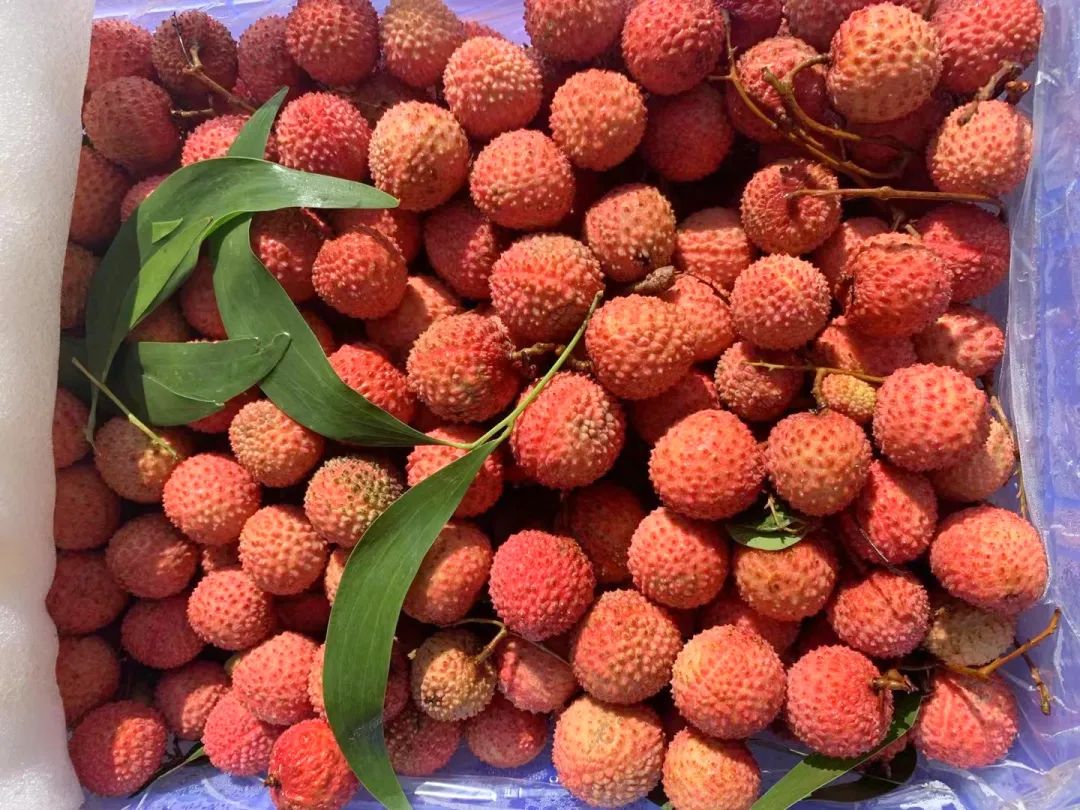 微信圖片_20210625144014.jpg 微信圖片_20210625144014.jpg