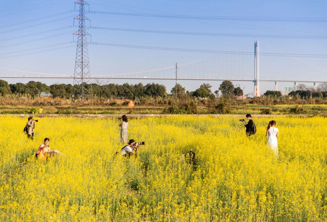 微信圖片_20210922102429.jpg 微信圖片_20210922102429.jpg